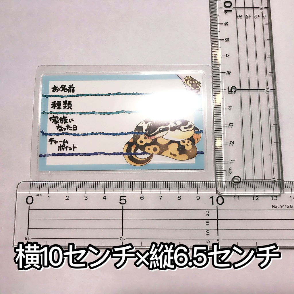 【第二弾】お名前プレート@爬虫類 全6種