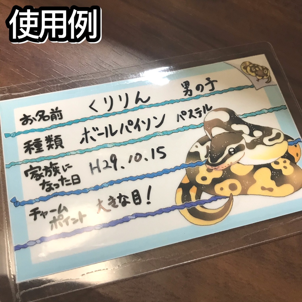 【第二弾】お名前プレート@爬虫類 全6種