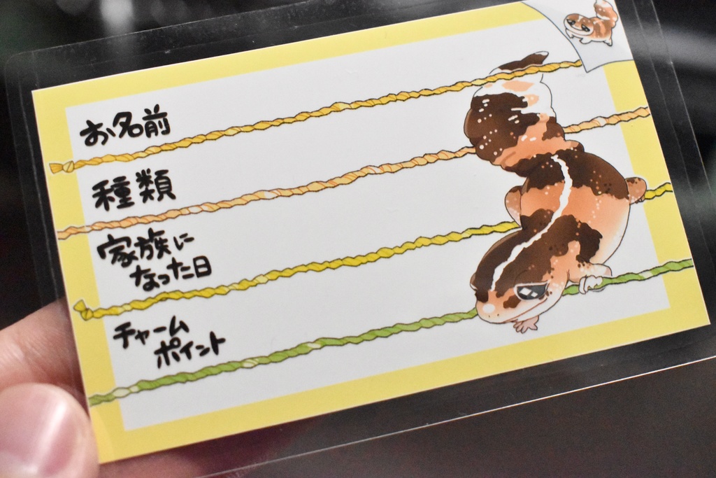 【第二弾】お名前プレート@爬虫類 全6種