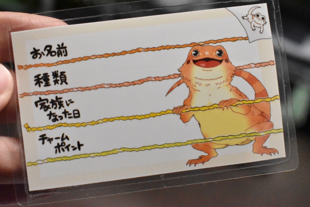 【第二弾】お名前プレート@爬虫類 全6種