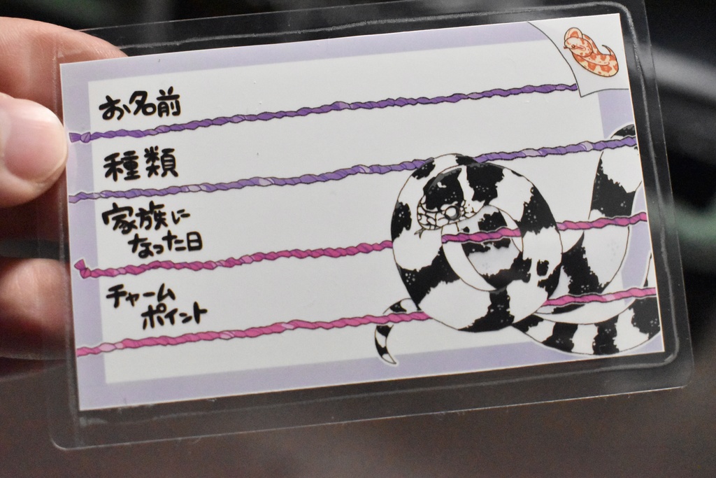 【第二弾】お名前プレート@爬虫類 全6種