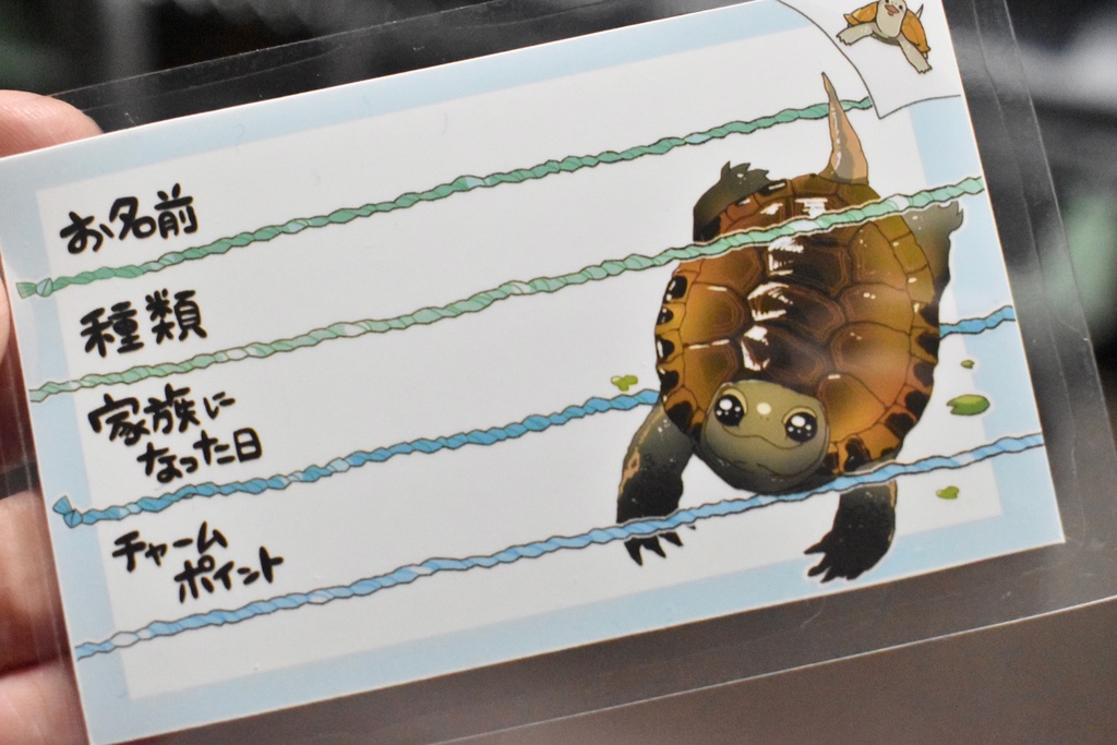 【第二弾】お名前プレート@爬虫類 全6種