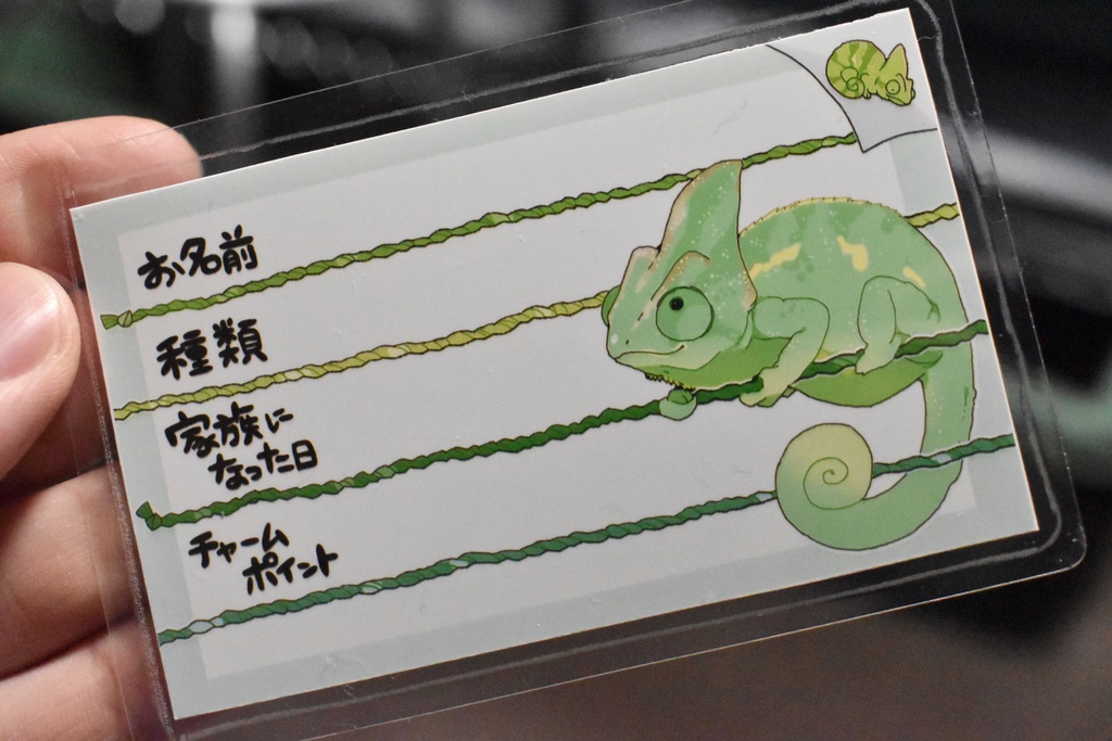 【第二弾】お名前プレート@爬虫類 全6種