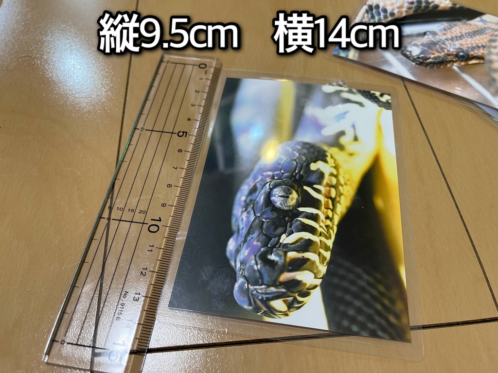 脱皮付きお写真プレート@爬虫類
