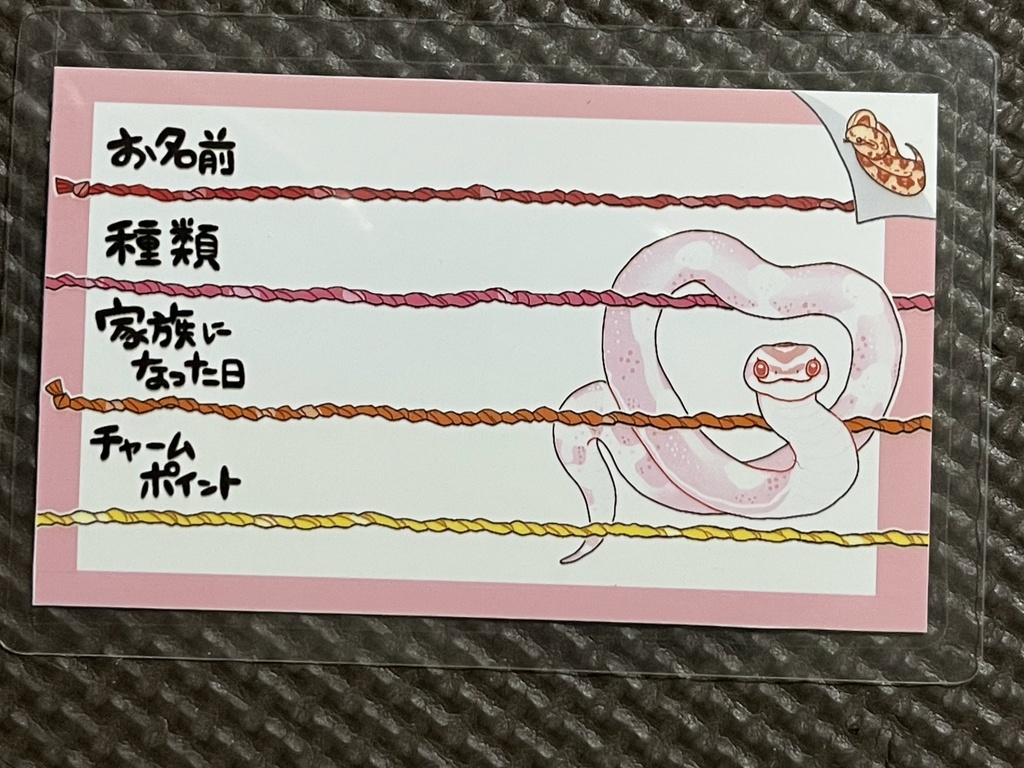 【第四弾】お名前プレート@爬虫類 全4種