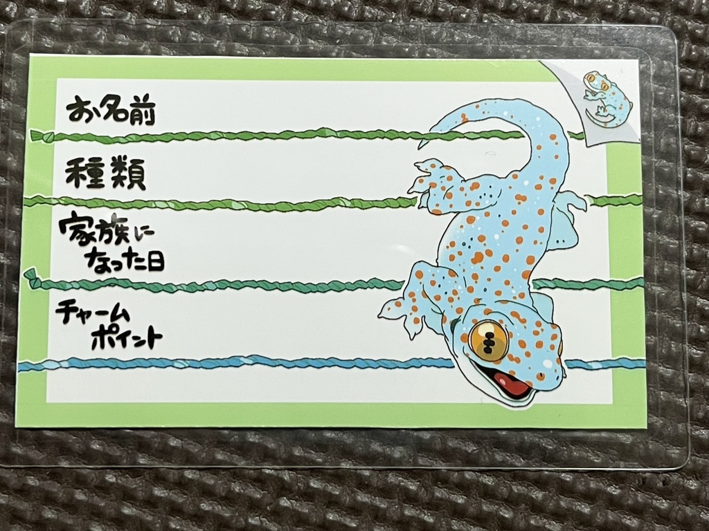 【第四弾】お名前プレート@爬虫類 全4種