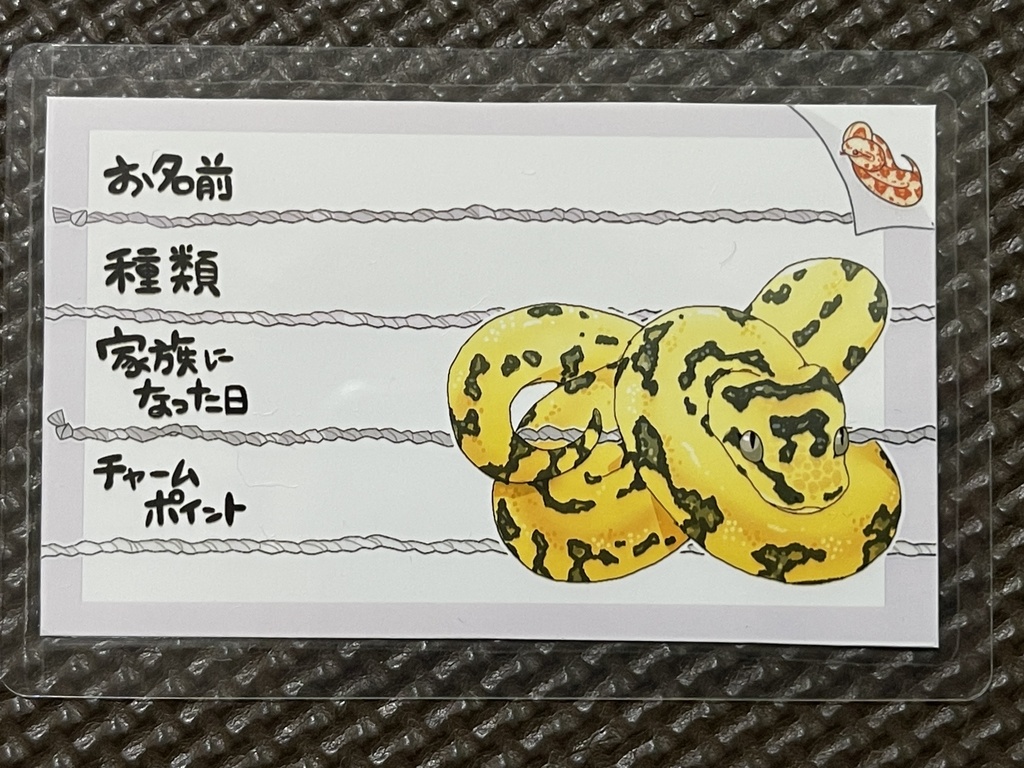 【第五弾】お名前プレート@爬虫類 全4種