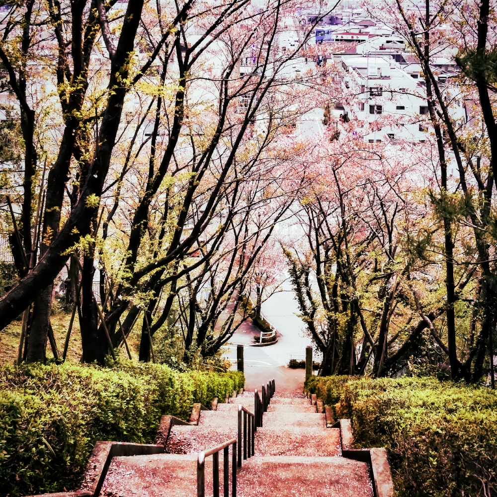 【無料】Wonderful with...(ver217)