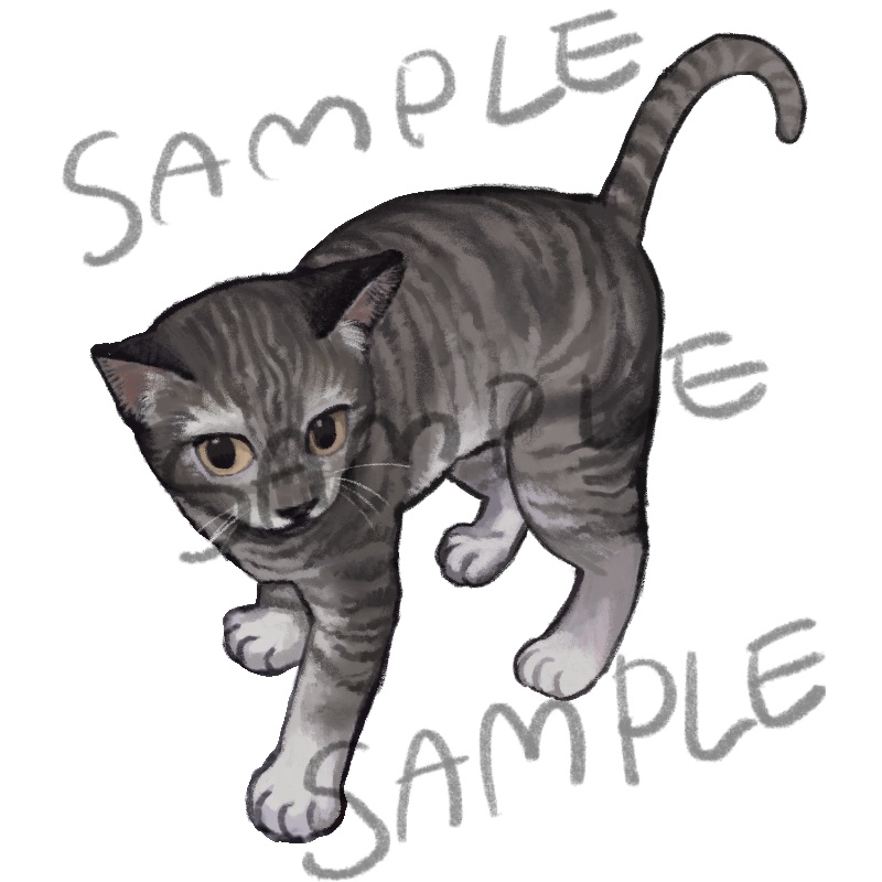 猫立ち絵