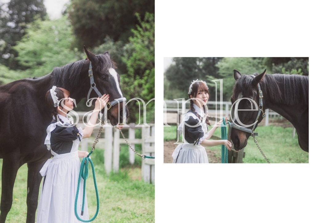 写真集maidear.」メイド博新刊