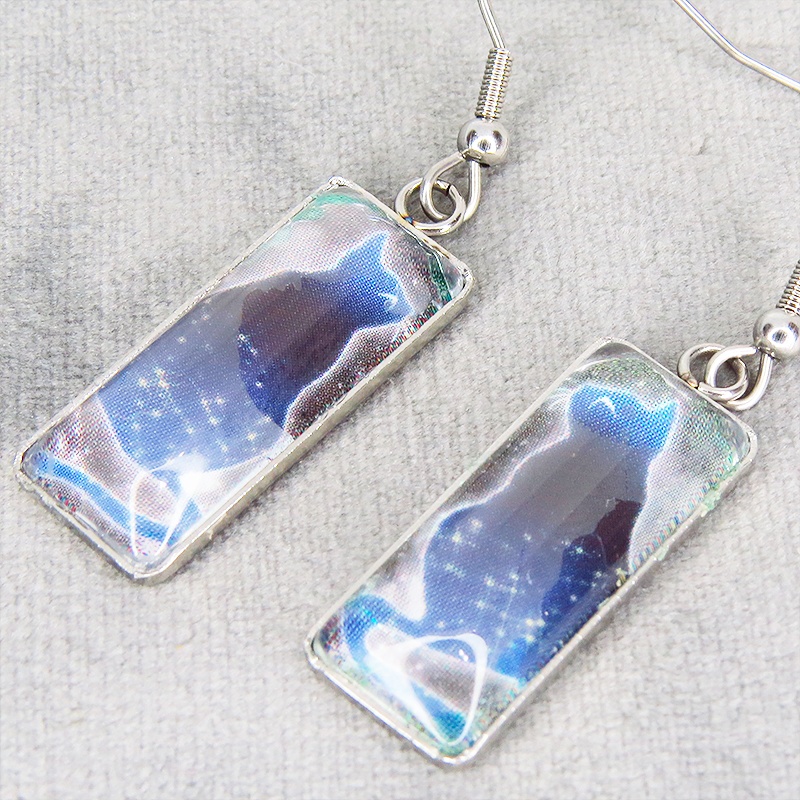 星を見上げる猫 ステンレス製タグプレート型ガラスカボションピアス シルバーカラー サージカル可