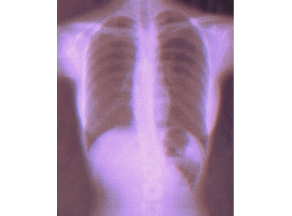 へそまがりパーカー - 90s Pink