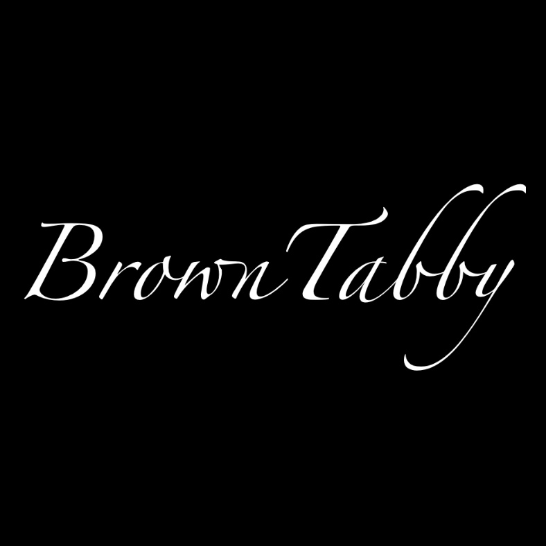 Brown Tabby ジップパーカー - 黒
