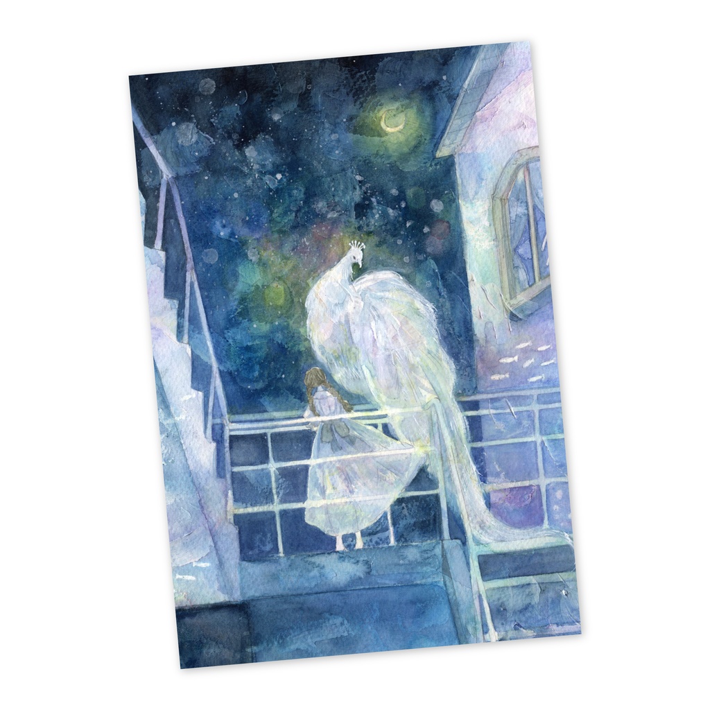 ♦︎POSTCARD｜夜の幻