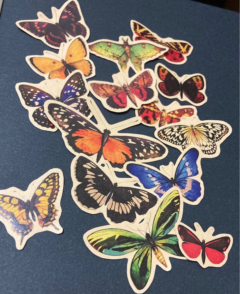 butterfly_sticker
