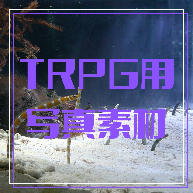 【有償利用可】TRPG専用写真素材【雑多】