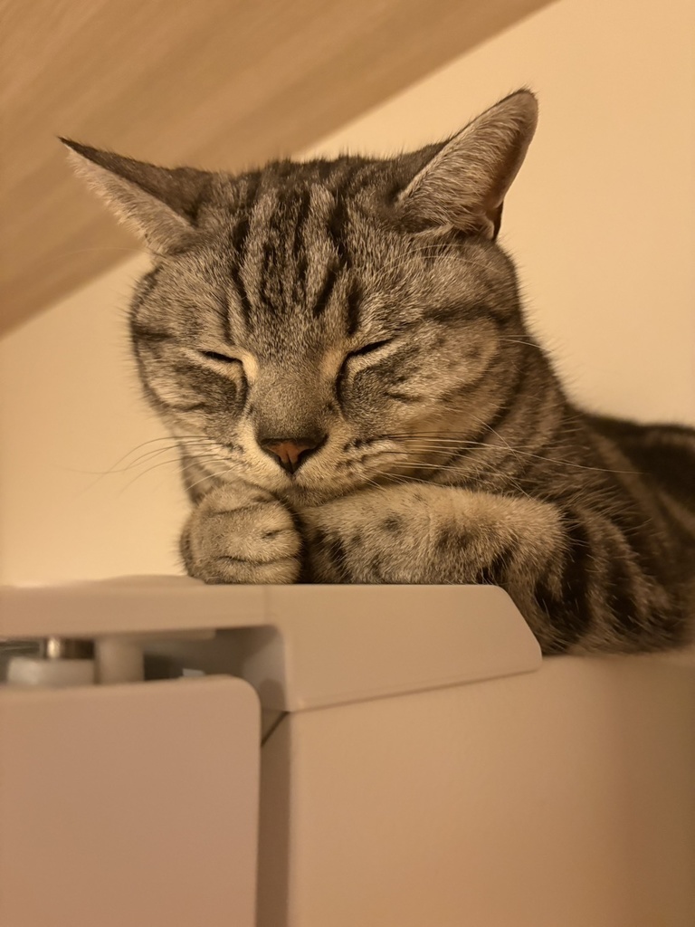 静かな部屋