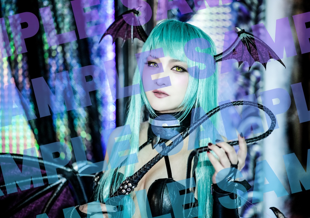 【写真集】【通常版】ヴァンパイア◆モリガン(うたたねひろゆきVer.)写真集