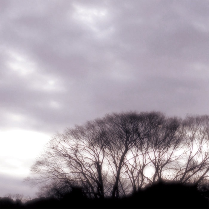 Winter into Spring EP (CD)