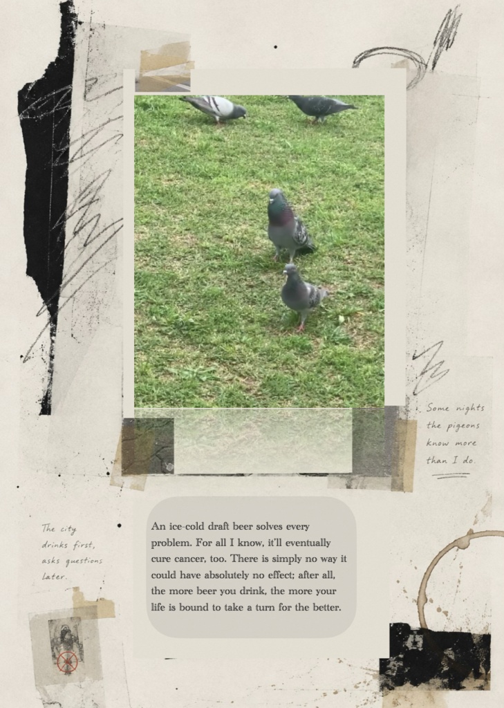 Pigeons in the Sky with Diamonds