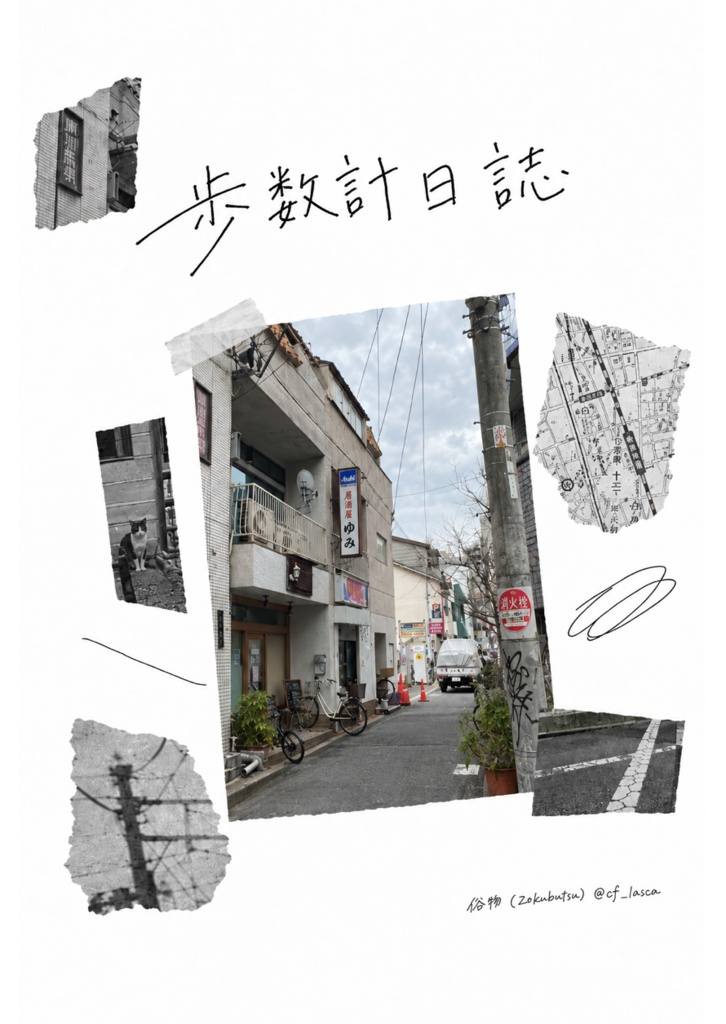 歩数計日誌