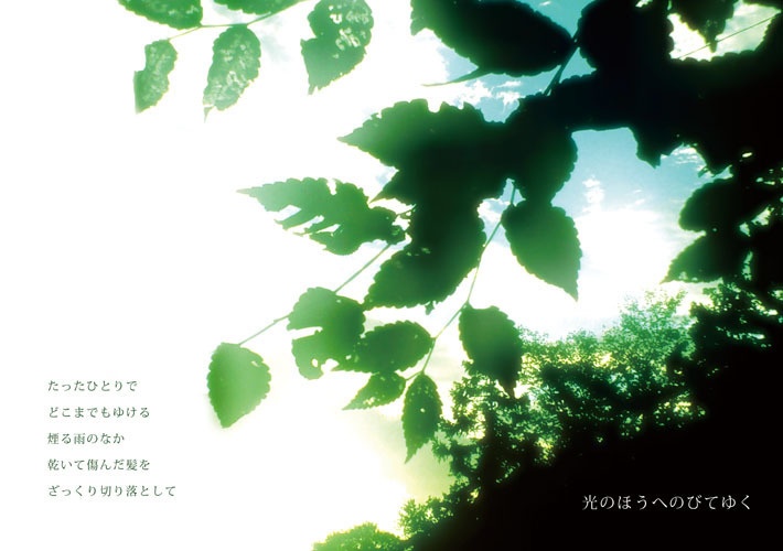 【夜間飛行惑星/詩 写真】夜間飛行惑星軌道