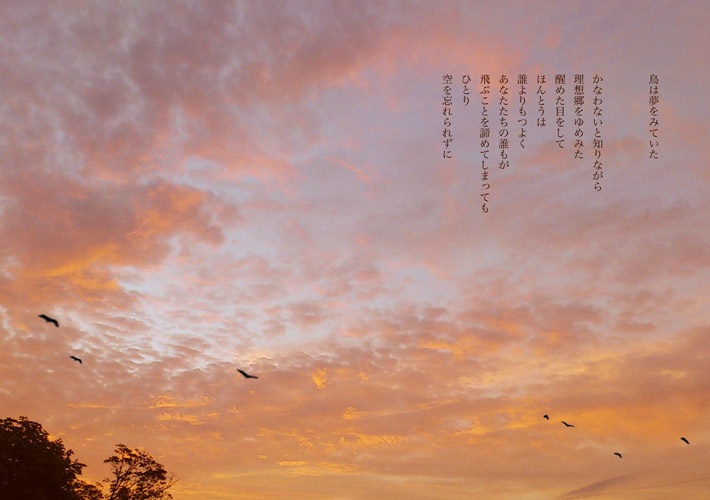 【夜間飛行惑星/詩 写真】夜間飛行惑星軌道