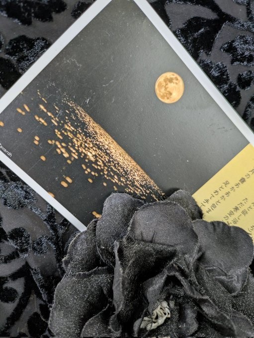 ＃ペーパーウェル１５　磯崎愛「月の歌三首」　すくう