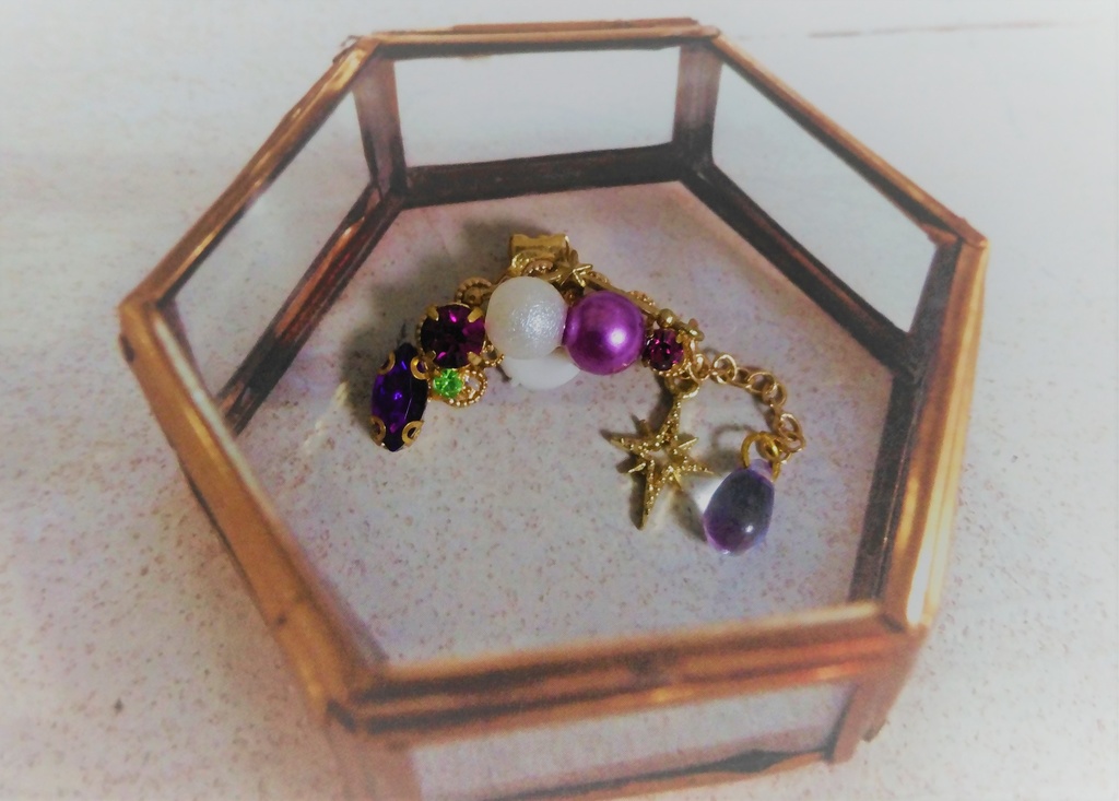 コルウスイメージ　イヤーカフ