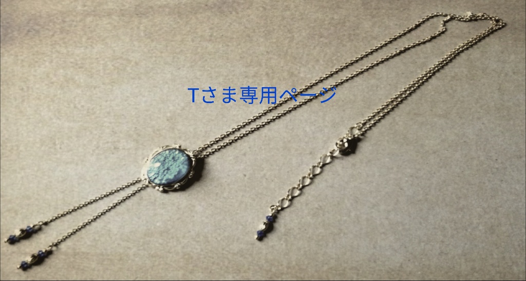 Tさま専用ページ