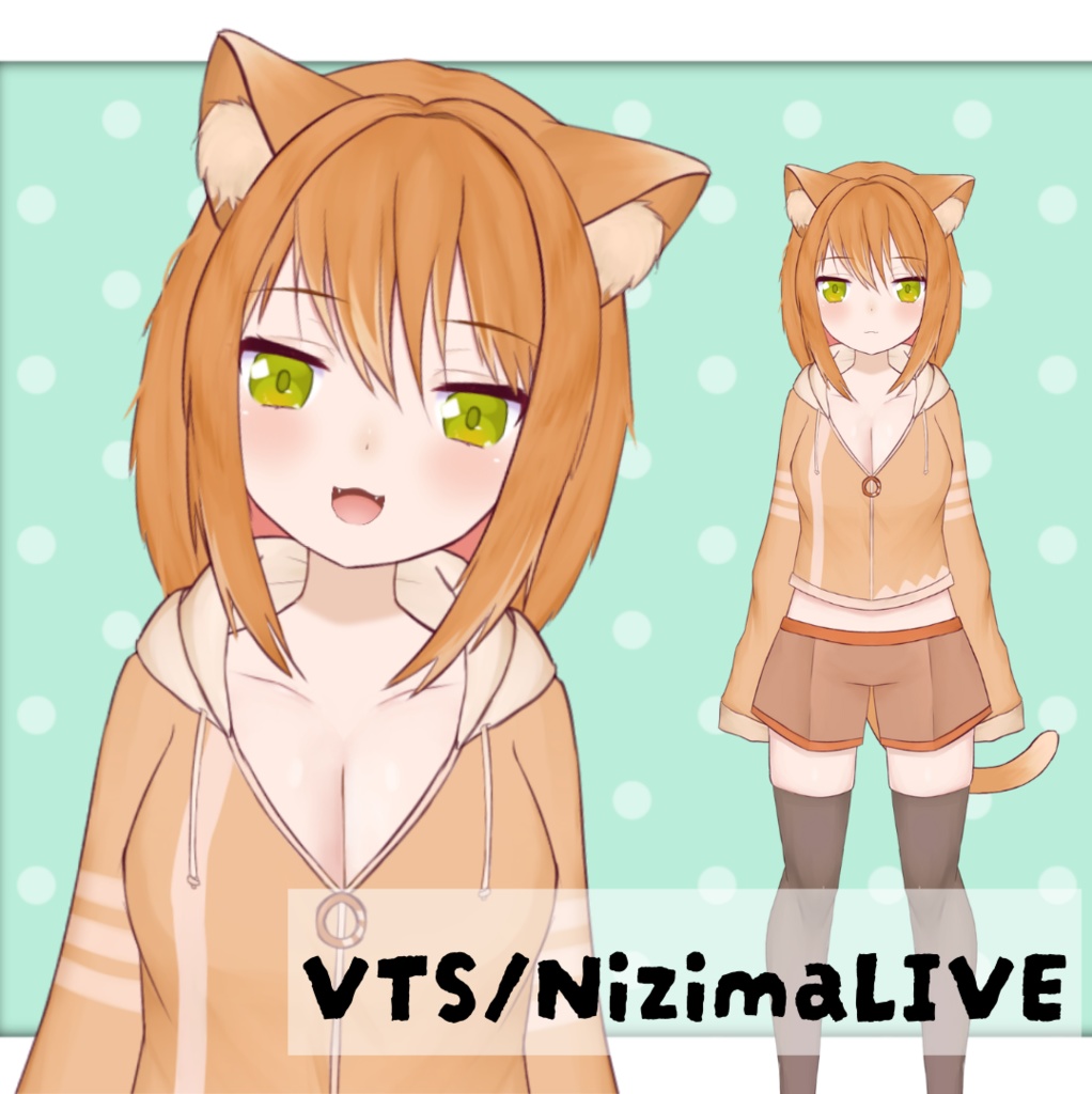 【Live2D】【VTS/NizimaLIVE】オレンジ猫 orange cat