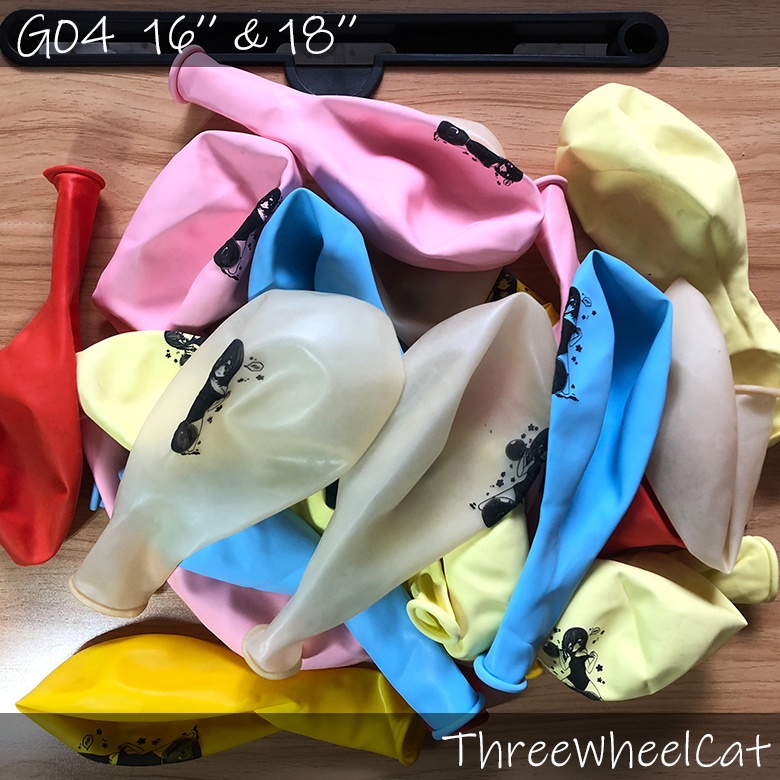 G04 桜沢墨(水着) 16''~24''