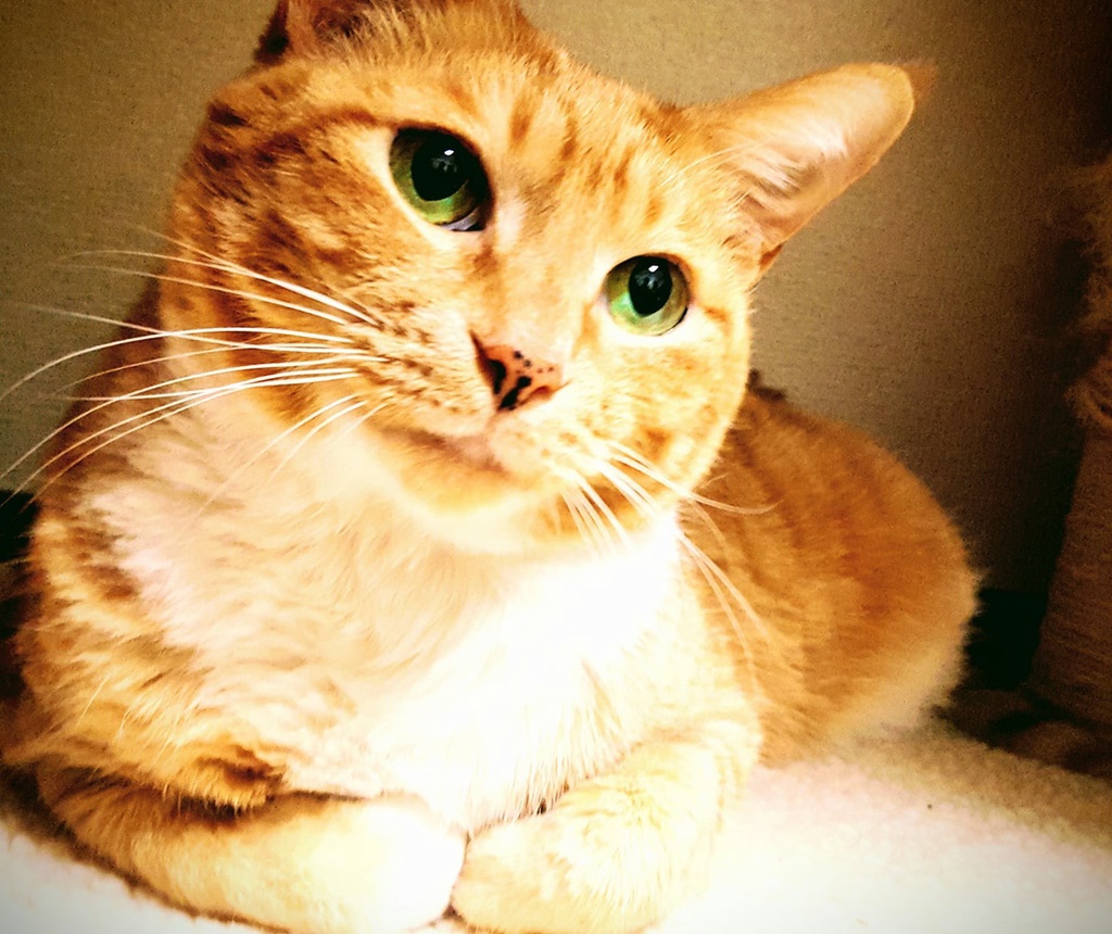 からだの宝探し