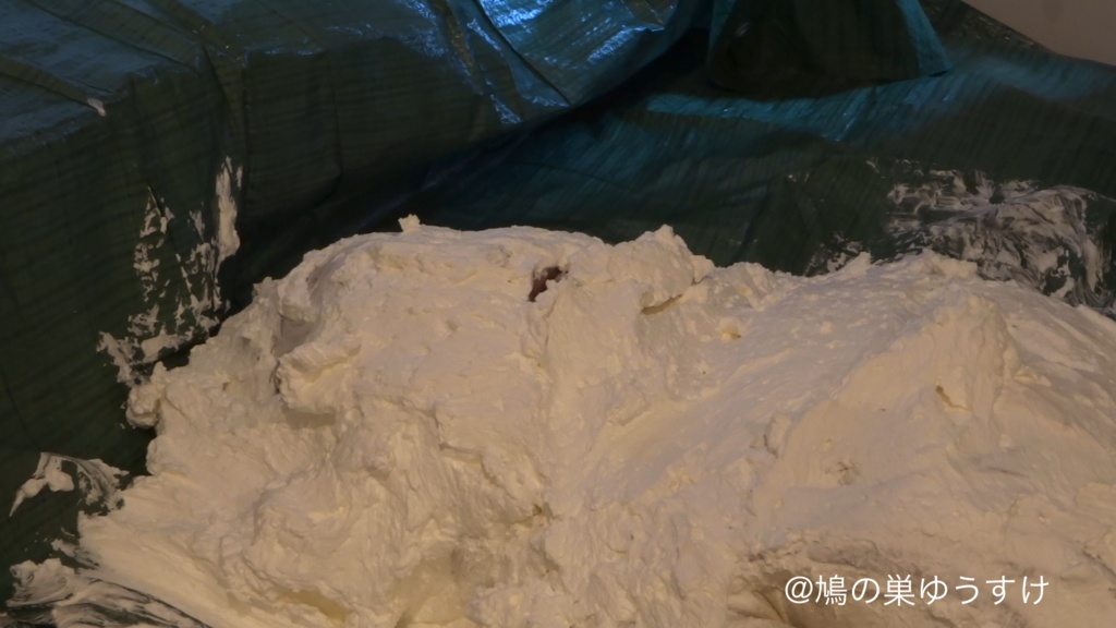 生クリーム遊び vol.9