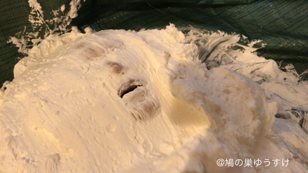 生クリーム遊び vol.9