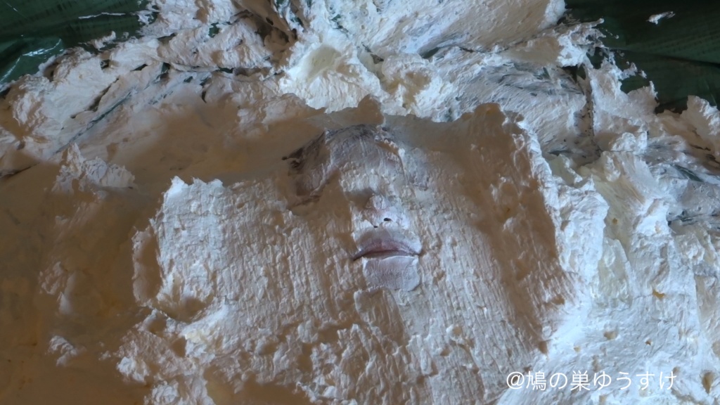 生クリーム遊び vol.10