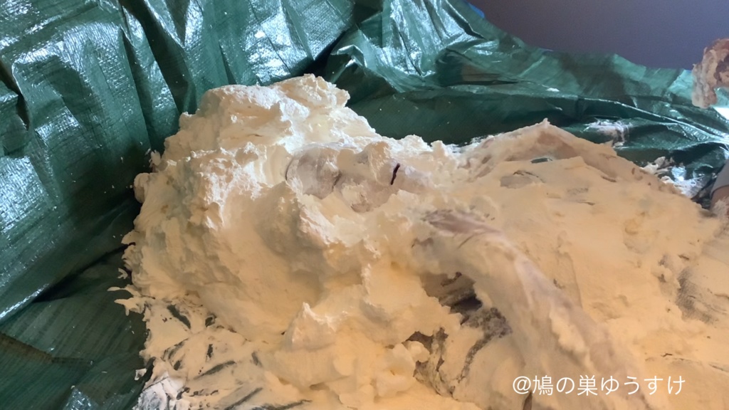 生クリーム遊び vol.10