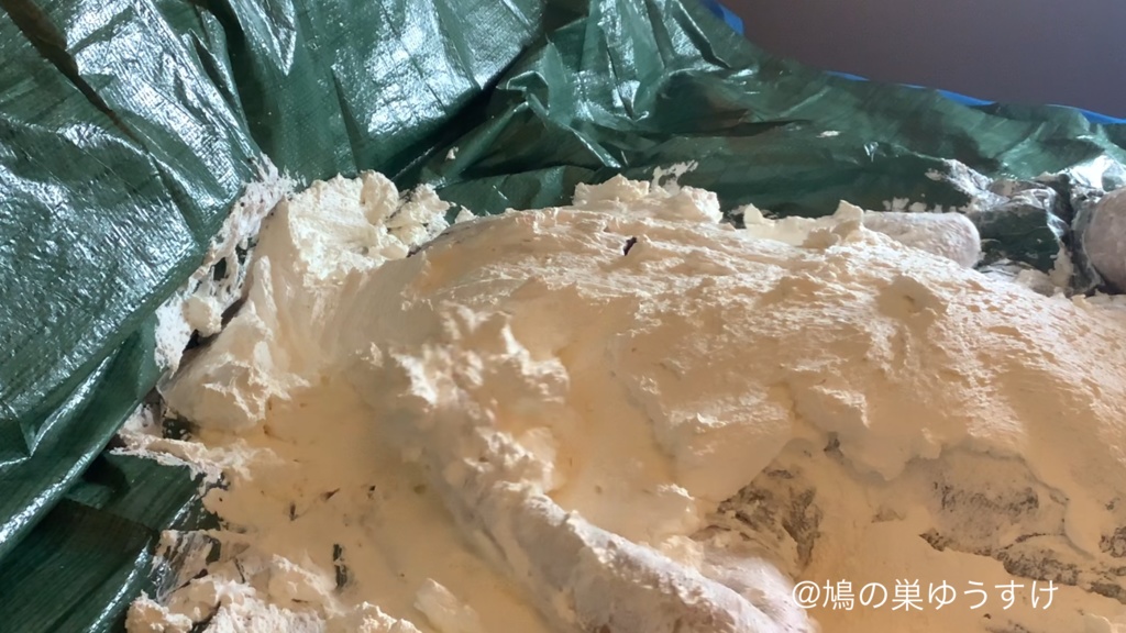 生クリーム遊び vol.10