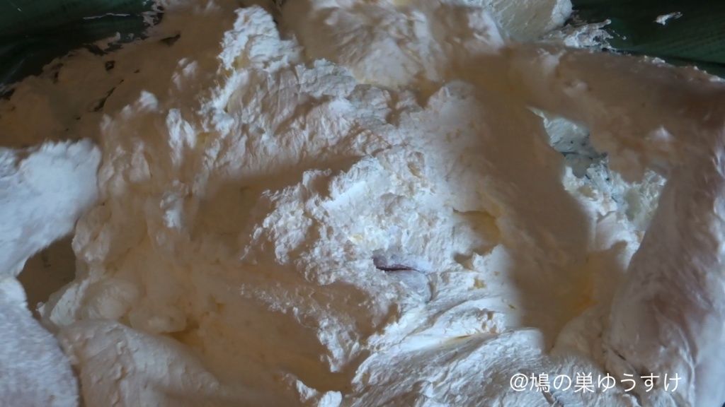 生クリーム遊び vol.10