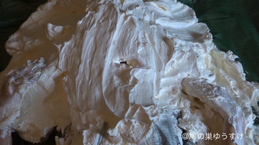 生クリーム遊び vol.10