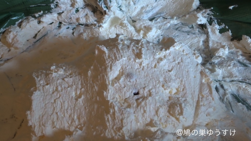 生クリーム遊び vol.10