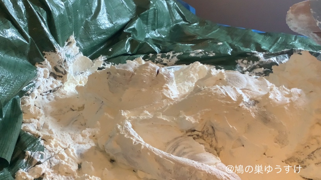 生クリーム遊び vol.10