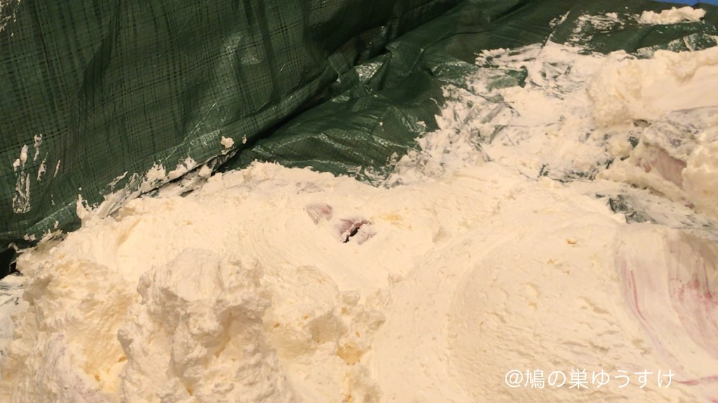 生クリーム遊び vol.11