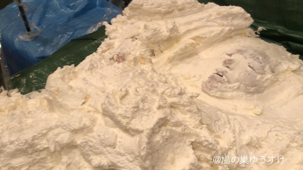 生クリーム遊び vol.11