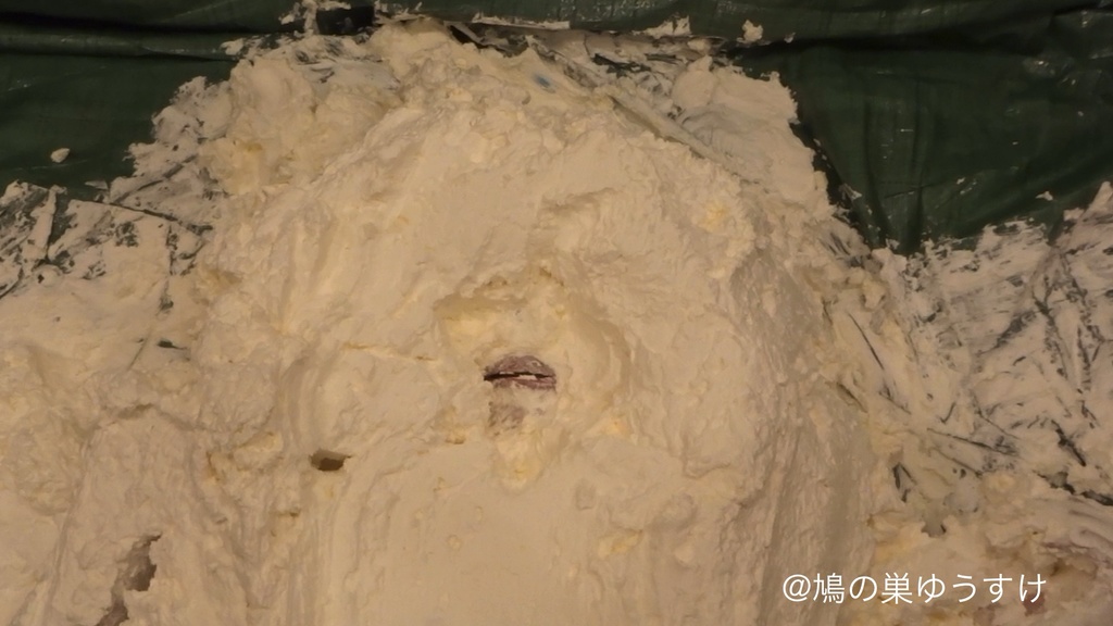 生クリーム遊び vol.11