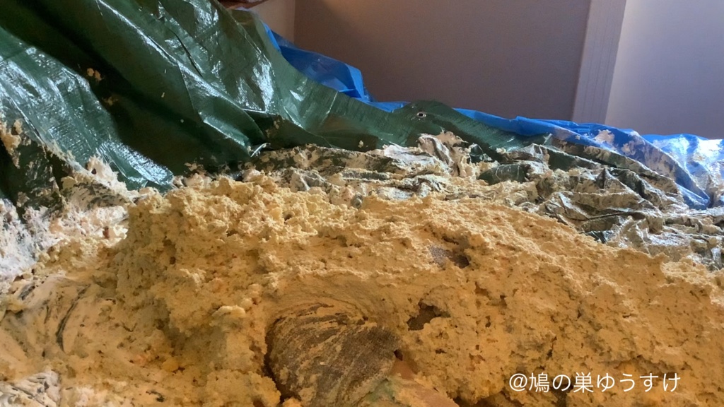 ケーキ遊び vol.1