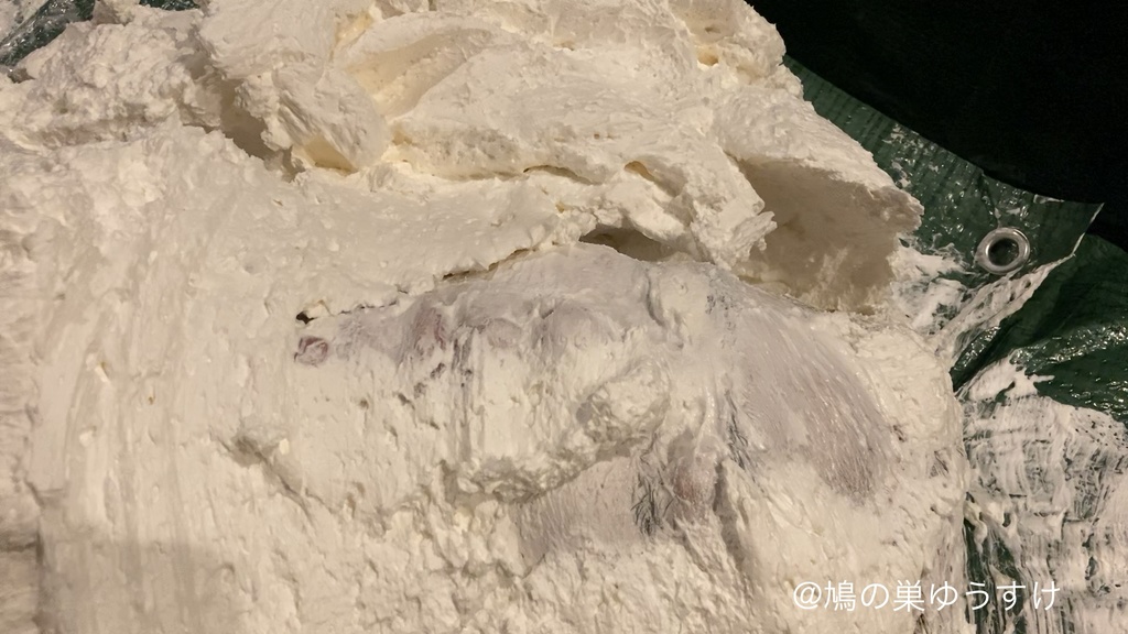 生クリーム遊び vol.14