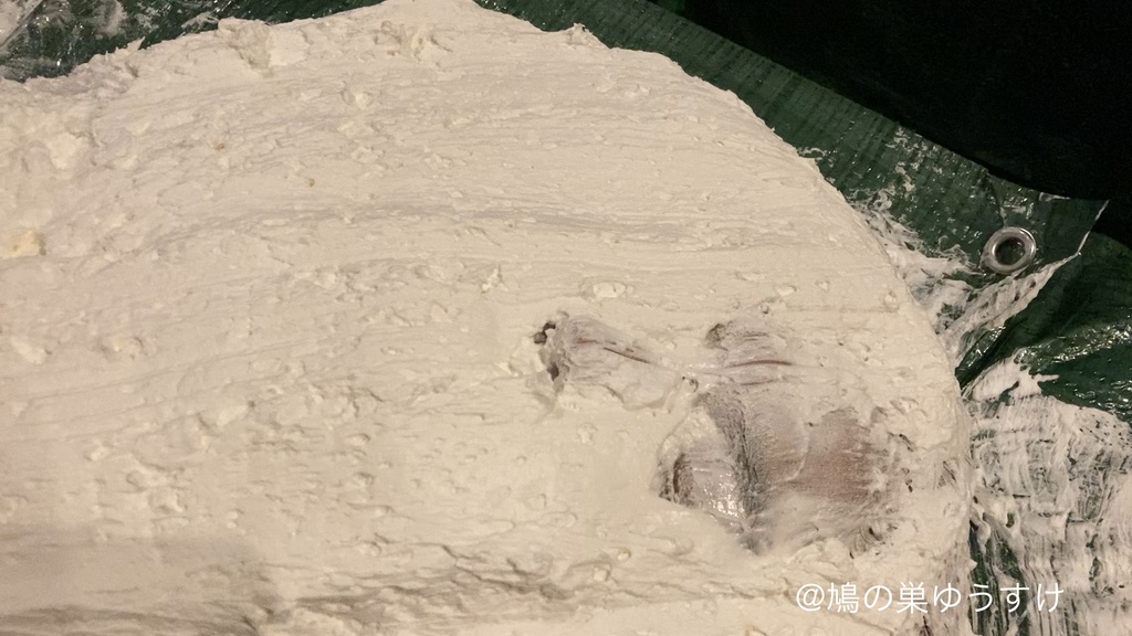 生クリーム遊び vol.14