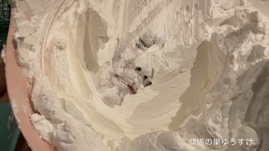 生クリーム遊び vol.14