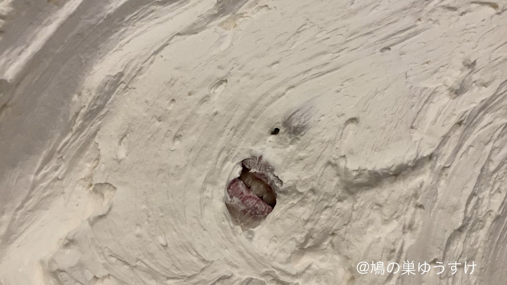 生クリーム遊び vol.14